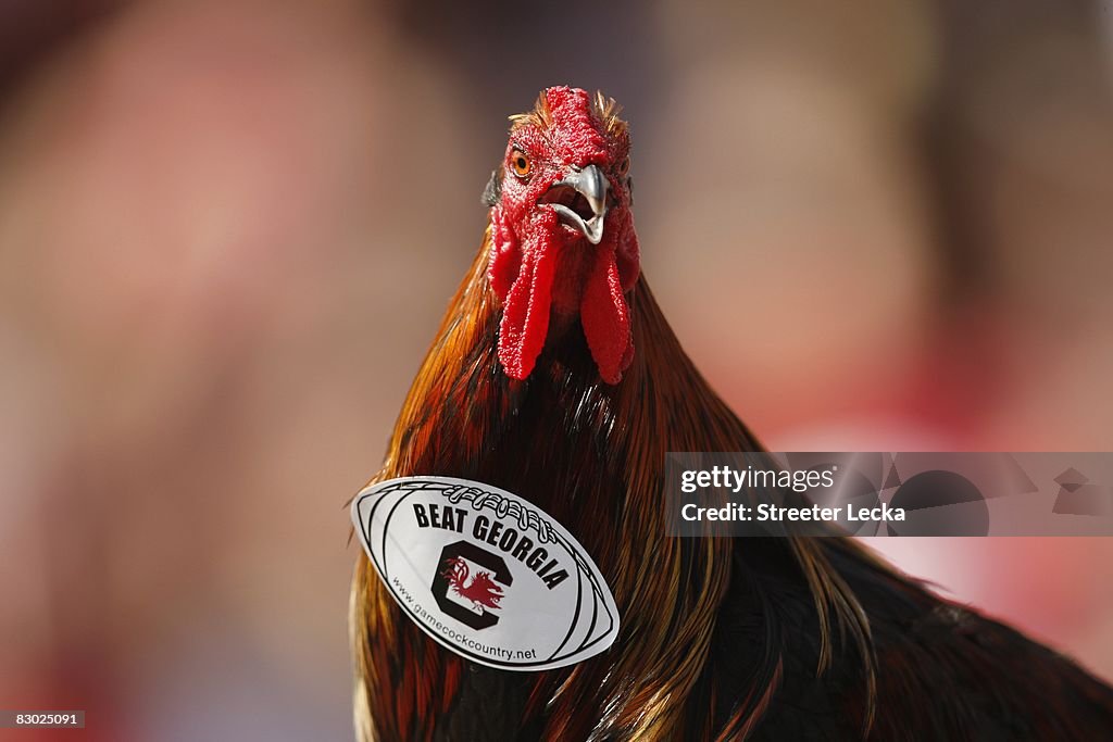 Georgia v South Carolina