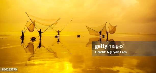 morning fishing - river mekong stockfoto's en -beelden