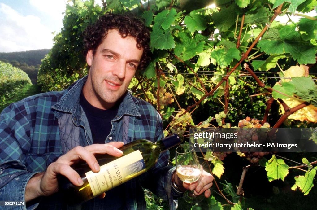 Devon/wine producers