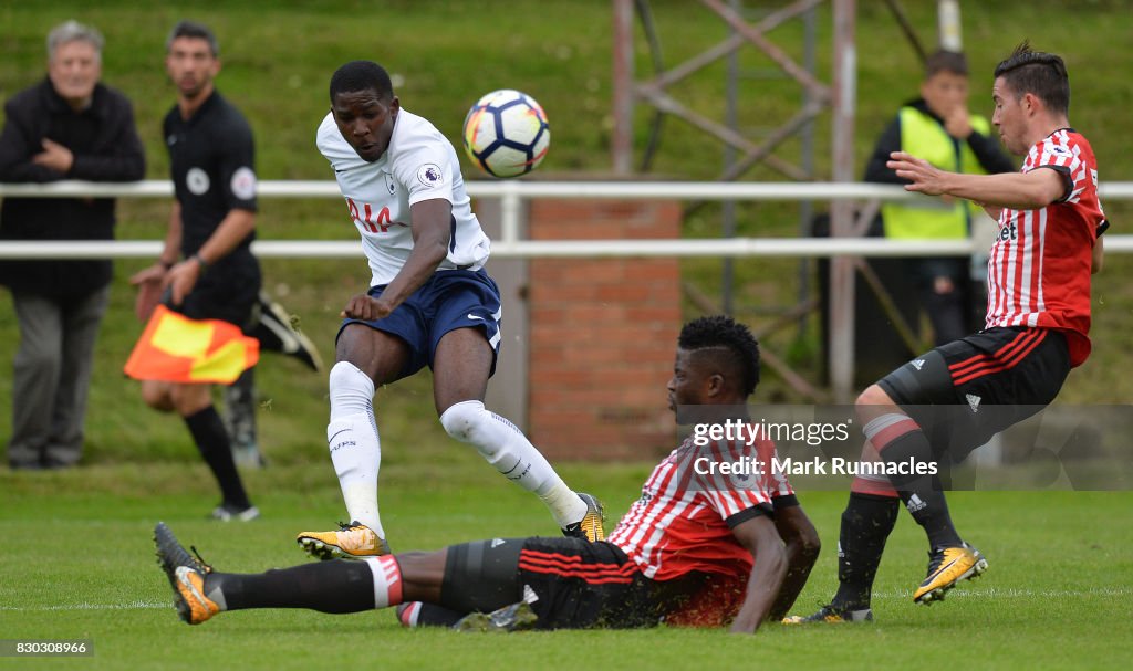 Sunderland v Tottenham Hotspur - Premier League 2