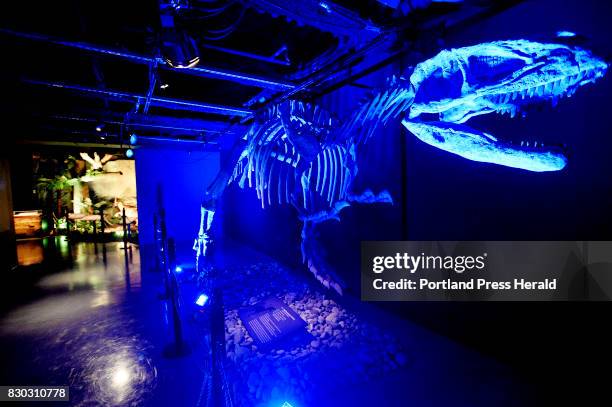 Yangchuanosaurus skeleton on display at the Dinosaur exhibit at the Portland Science Center Thursday, November 17, 2016.