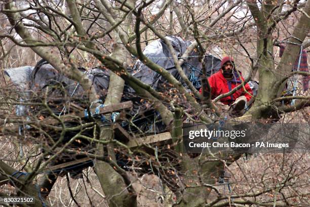 An eco-warrior sits high in his tree camp, at the Glen of the Downs, in Co.Wicklow, when tree-felling began to widen the N11 road, the main route...