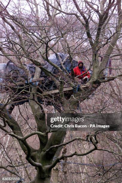 An eco-warrior sits high in his tree camp, at the Glen of the Downs, in Co.Wicklow, when tree-felling began to widen the N11 road, the main route...