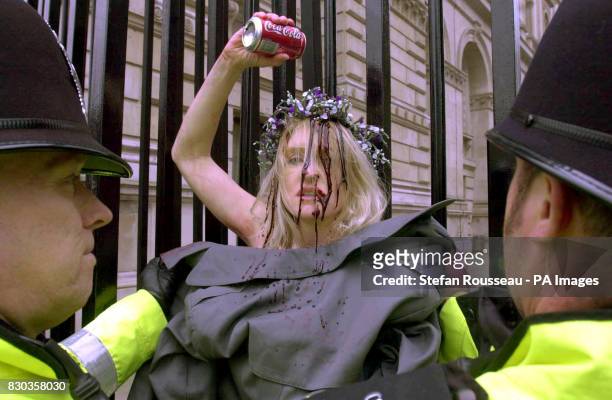 Birgit Cunningham covers herself with fake blood, whilst handcuffed to the gates of Downing Street, as Prime Minister Tony Blair prepared for a...