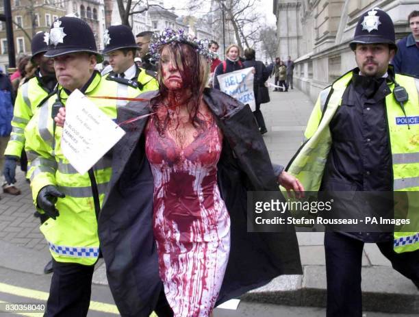 Birgit Cunningham is led away by police after chaining herself to the gates of Downing Street and covering herself with fake blood, in protest at the...