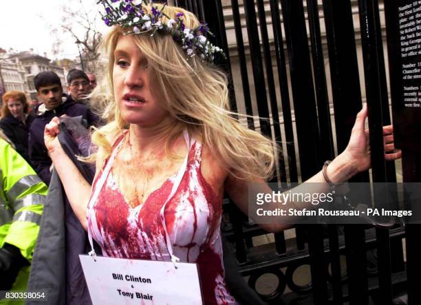 Birgit Cunningham covered in fake blood, and handcuffed to the gates of Downing Street, in protest at the decline of agriculture. Prime Minister Tony...