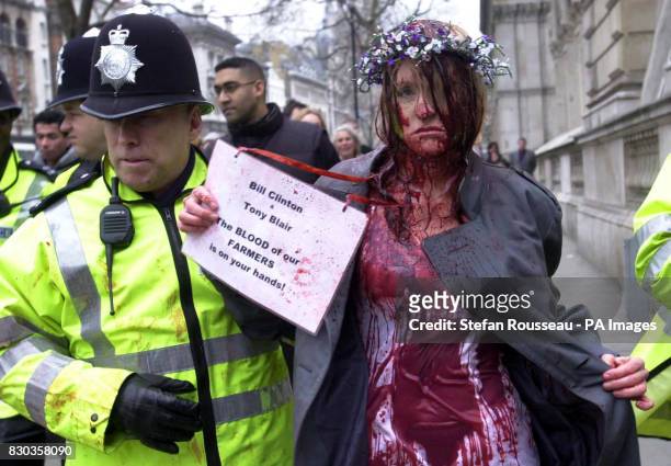 Birgit Cunningham is led away by police after handcuffing herself to the gates outside Downing Street and covering herself with fake blood, in...