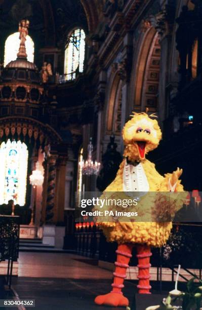 Big Bird from Sesame Street sings Jim Henson's favourite song "It's Not Easy Being Green', at the memorial service held t St Pauls Cathedral to...