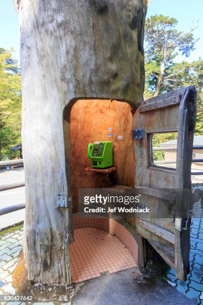 Phone booth in een boomstam in Yakushima eiland, Japan