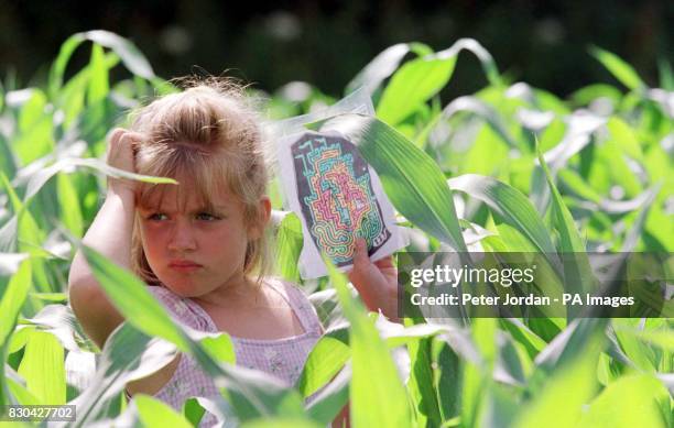 Michaela Kummer aged 6 from North Carolina in the castle maize maze at Tulleys farm, Turners Hill near Crawley. The giant maze boasts three miles of...