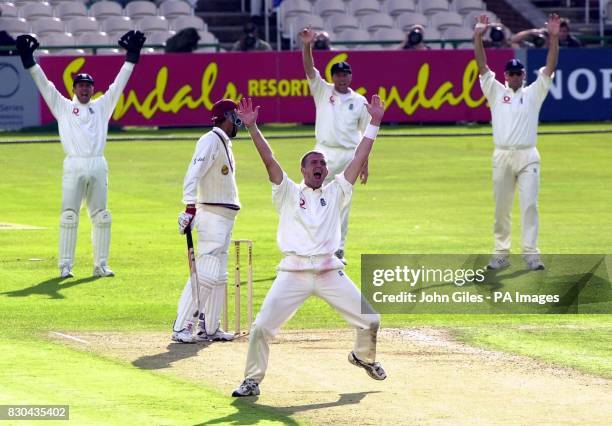 England led by bowler Dominic Cork who appeals unsuccesfully for the wicket of West Indies Captain Jimmy Adams during the Third Cornhill Test match...