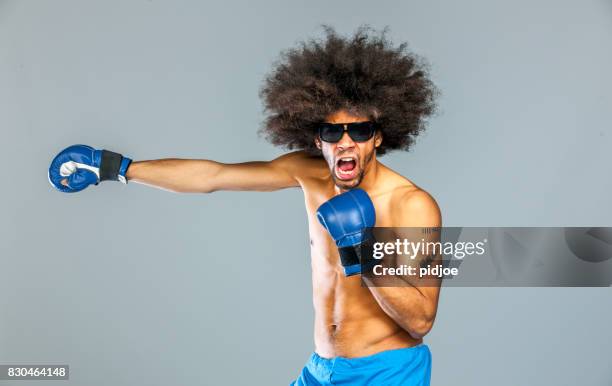 boxer med stort hår, i aktion - funny boxing bildbanksfoton och bilder