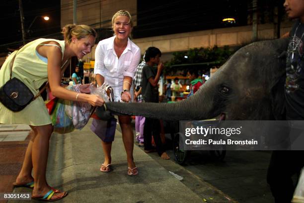 Tourists react as they pet and feed a 3-year-old elephant named Pong Paeng September 25, 2008 in Bangkok, Thailand. While the elephant is a symbol of...