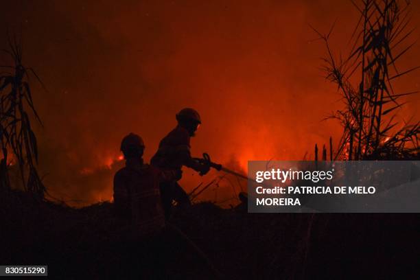Firefighter Rashes Rio De Moinhos (Abrantes) Photos and Premium High Res Pictures - Getty ...
