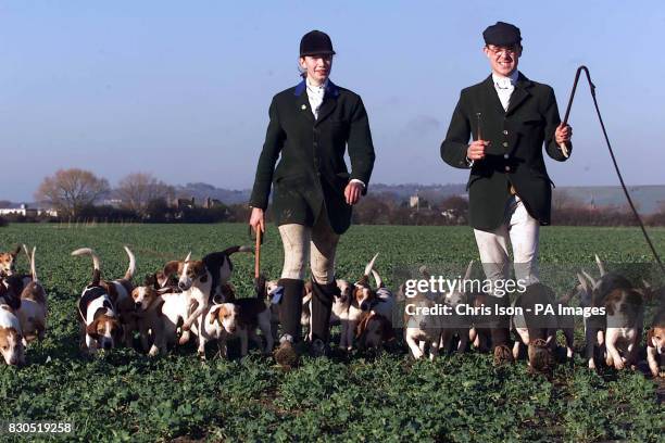 Kate Bull , Joint Master of the Wye Beagles Hunt, heads for the Romney Marsh near Dymchurch, Kent, with borrowed hounds from neighbouring hunts, who...