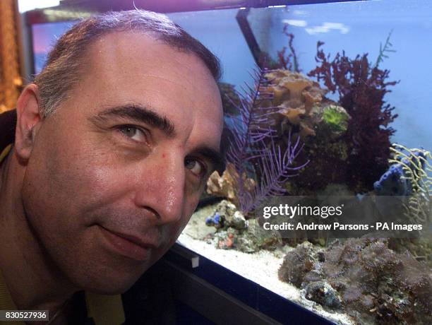 David Macpherson watches over Florence, a common octopus, who has given birth to eight babies in her aquarium at the Fakenham Garden centre in...