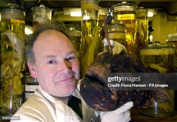 Curatorial Fish Samples Fiona Darwin Photos and Premium High Res Pictures - Getty Images