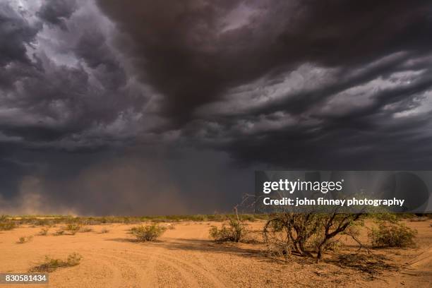 sandstorm and thunderstorm at sunset, arizona - sandstorm stock pictures, royalty-free photos & images