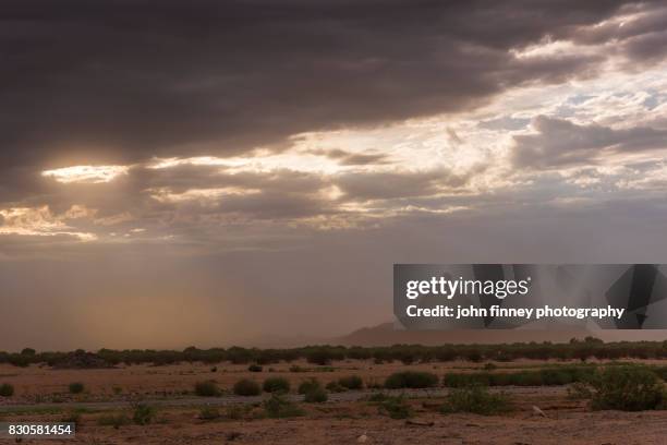 sandstorm at sunset in the arizona desert - haboob stock pictures, royalty-free photos & images