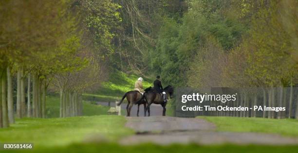 Britain's Queen Elizabeth II out riding with a groom in Windsor Home Park on her 75th birthday. Elsewhere today, 41 guns will line up to salute the...