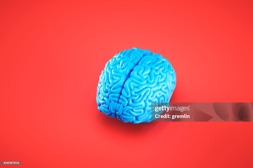 Simple image of brain