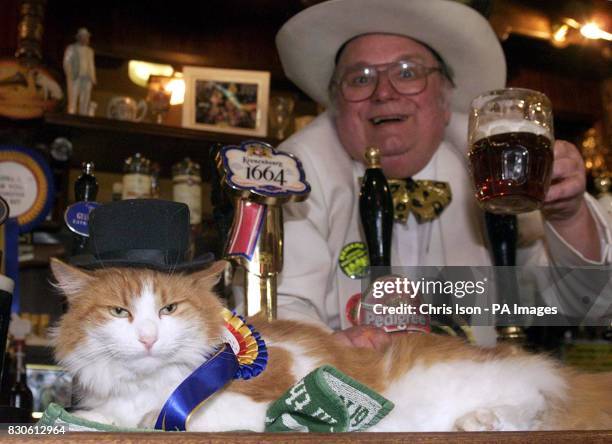 Alan Hope 234 Party Dog Cat Stock Photos, High-Res Pictures, and Images - Getty ...