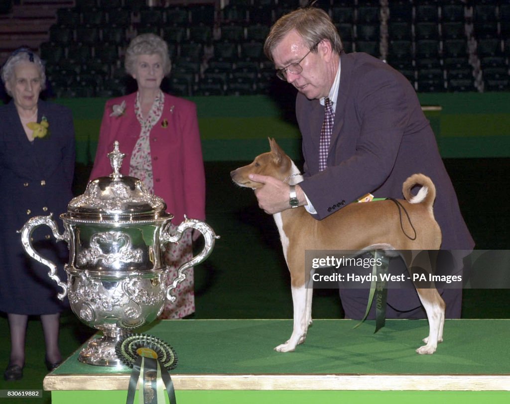 Crufts Winner