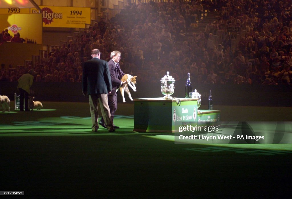 Crufts Winner