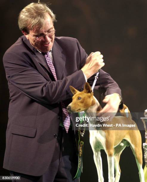 Crufts Winner, Foto di attualità