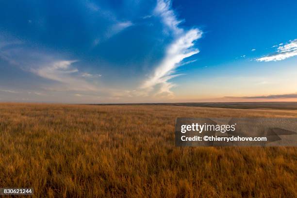 south dakota, usa - lakota culture stock pictures, royalty-free photos & images