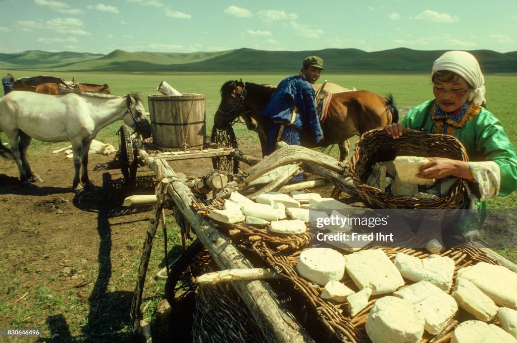 Mongolian nomad woman lying out Aaruul, cheese balls to dry...