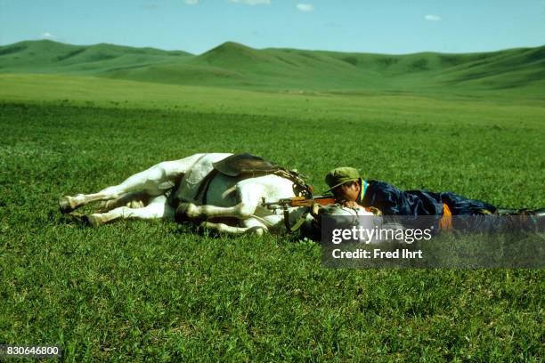 Mongolian nomadic man with shouldered rifle laying down with his horse practicing his rifle skills in the vast grassland. He belongs to the nomad...