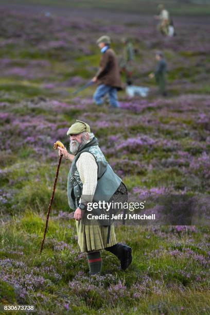 Head keeper Graeme MacDonald leads a shooting party at the beginning of a new shooting season on a grouse moor at the Alvie Estate on August 12, 2017...