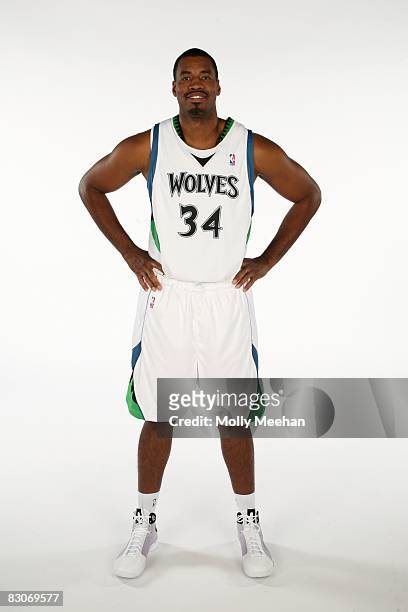 Jason Collins of the Minnesota Timberwolves poses for a portrait during NBA Media Day on September 29, 2008 at the Target Center in Minneapolis,...