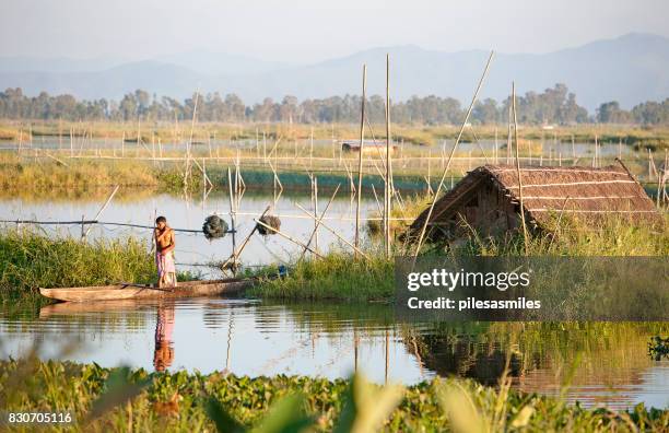 granjero del pescador, loktak lake, manipur, india. - dugout canoe fotografías e imágenes de stock