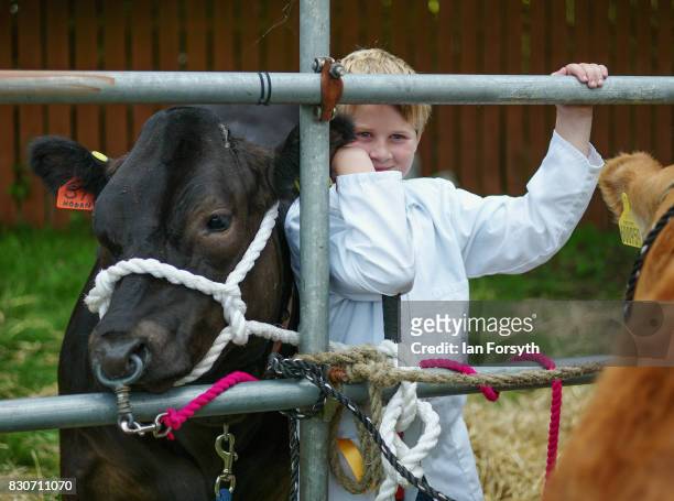 Youngster stands with his cow during the 194th Sedgefield Show on August 12, 2017 in Sedgefield, England. The annual show is held on the second...