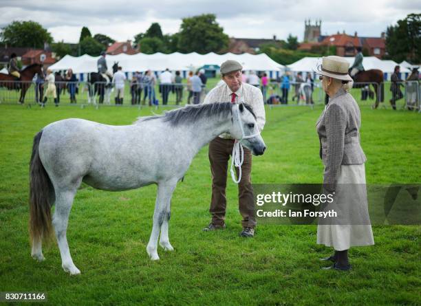 Judge assesses a pony during the 194th Sedgefield Show on August 12, 2017 in Sedgefield, England. The annual show is held on the second Saturday each...