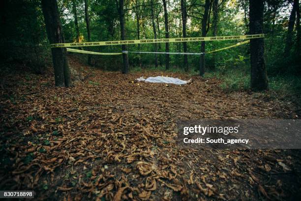 dead cuerpo - homicidio fotografías e imágenes de stock