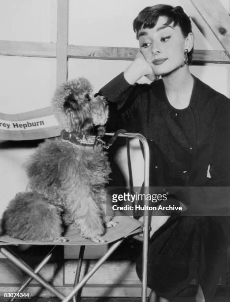 Film actress Audrey Hepburn on a film set with her pet poodle, circa 1960.