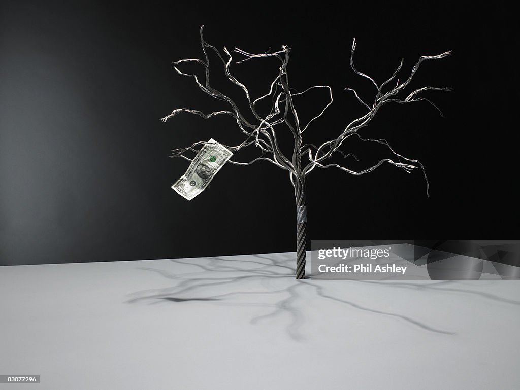 Single dollar note on wire tree