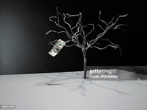 single dollar note on wire tree - dollar disappear stock pictures, royalty-free photos & images