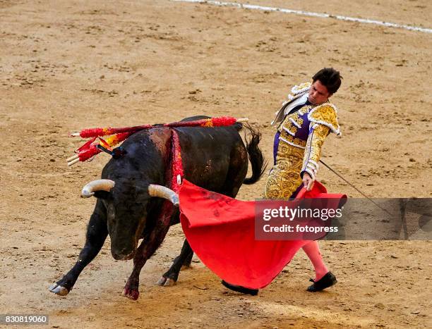 Spanish bullfighter Francisco Rivera Ordonez 'Paquirri' performs with a Maria Loreto Charro Santos ranch fighting bull during a bullfighting as part...
