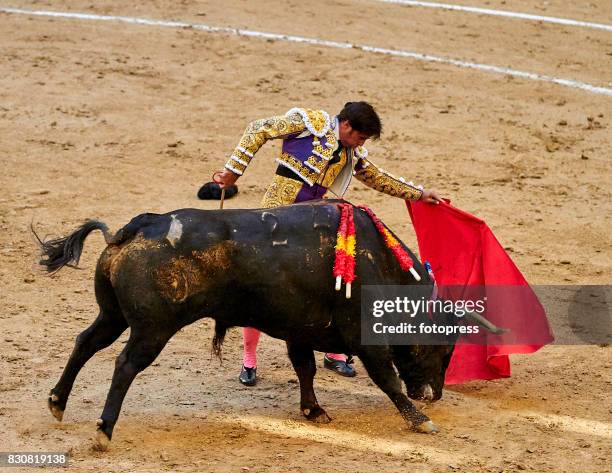 Spanish bullfighter Francisco Rivera Ordonez 'Paquirri' performs with a Maria Loreto Charro Santos ranch fighting bull during a bullfighting as part...