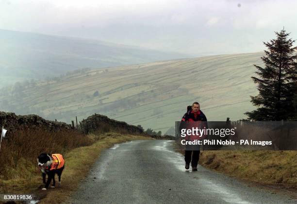 Lone mountain rescue volunteer and his sniffer dog search along a road through the fells above the village of Dent near Sedbergh, as part of a mass...
