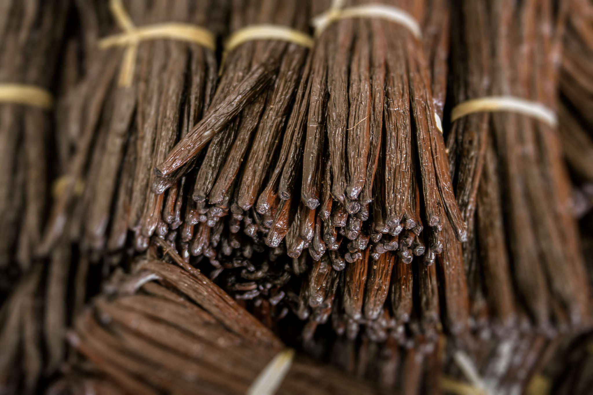 vanilla drying
