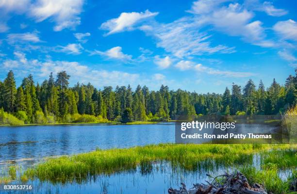 bluf lake bij big bear lake san bernardino national forest, ca - san bernardino california stockfoto's en -beelden