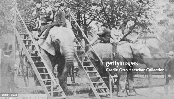 Elephant rides at London Zoo in Regent's Park, 1864.