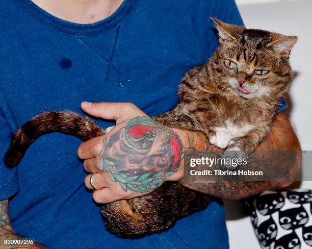 Lil Bub attends the 3rd Annual CatCon at Pasadena Convention Center on August 12, 2017 in Pasadena, California.