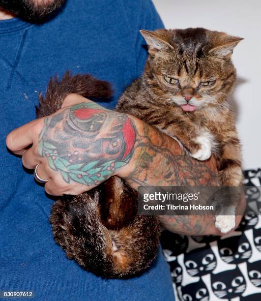 Lil Bub attends the 3rd Annual CatCon at Pasadena Convention Center on August 12, 2017 in Pasadena, California.