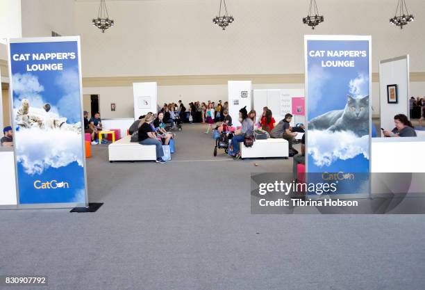 Cat enthusiast attend the 3rd Annual CatCon at Pasadena Convention Center on August 12, 2017 in Pasadena, California.